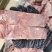 国产纯干多肉龙骨可定制规格全国接单