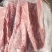 国产纯干多肉龙骨可定制规格全国接单