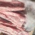 国产纯干多肉龙骨可定制规格全国接单