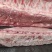 国产纯干多肉龙骨可定制规格全国接单