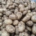 土豆陕西沃土5号土豆黄皮黄心基地直发品质保证