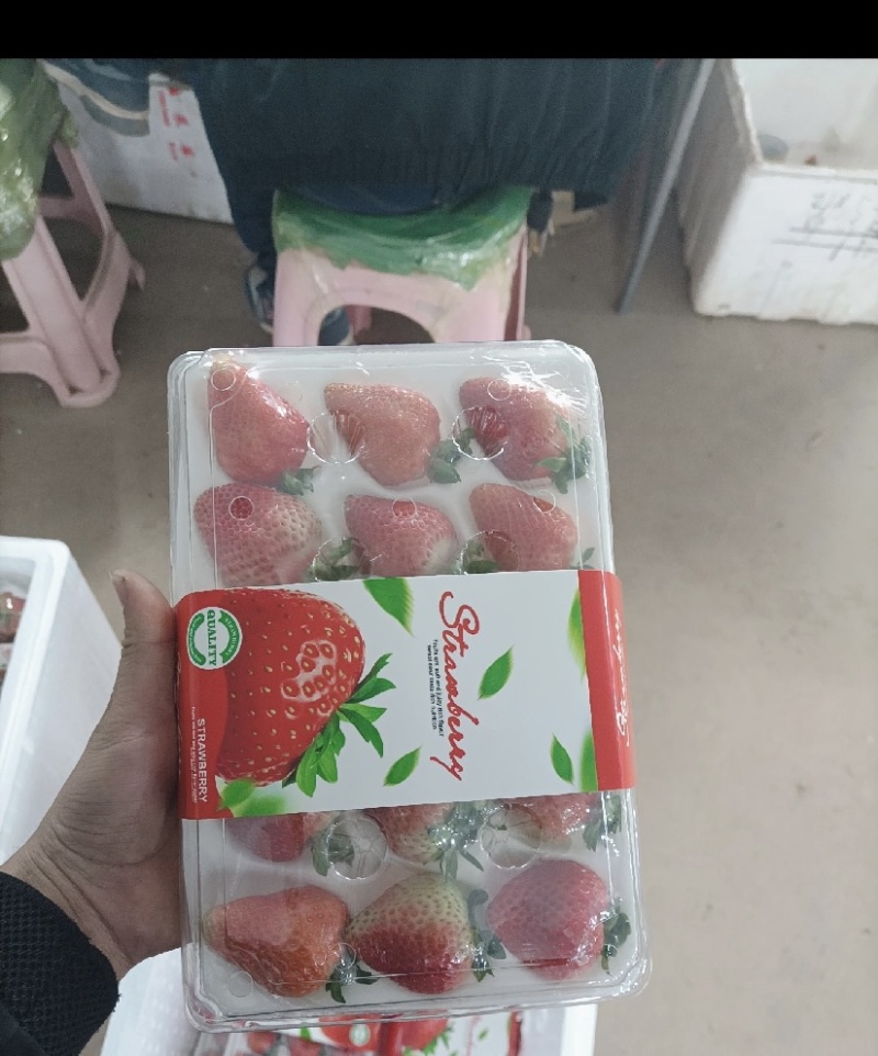云南蒙特瑞草莓