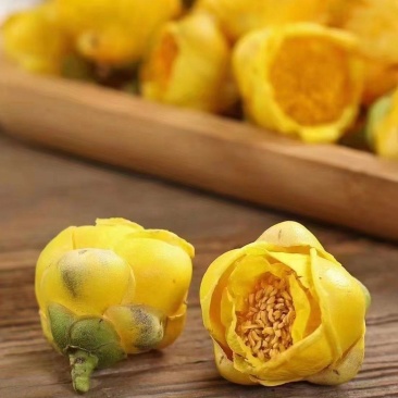 金茶花金花茶全国发货支持一件代发量大从优