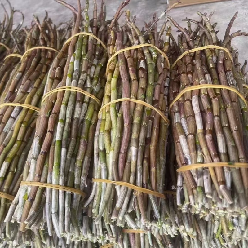 铁皮石斛，基地直发主营各地土特产一手货源质量保证大量供应