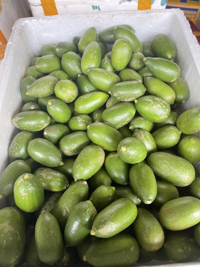 榨汁果海南香水工厂果子弹头香水柠檬果汁原料产地大量有货