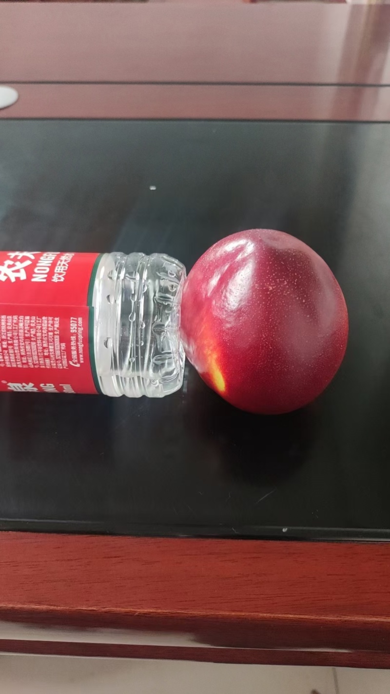中油4号中油19中油6曙光运城新绛油桃露天油桃油桃大棚油