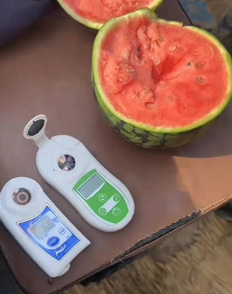 小糖丸产地直发，精品，电商，甜度高，高品质，高质量。