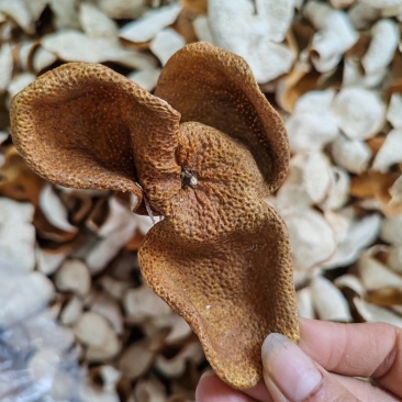 .批发新会陈皮500克干货陈皮干桔皮陈皮茶泡水煲汤
