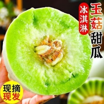 【推荐】冰淇淋玉菇甜瓜，产地直发，品质保证欢迎采购