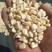 自家农户种植白糯玉米粒，长期大量供应！专业粮食供销欢迎电