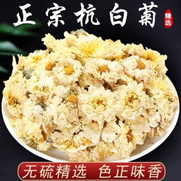【桐乡发货】桐乡杭白菊娃娃菊无硫干菊花茶多规格可选包邮