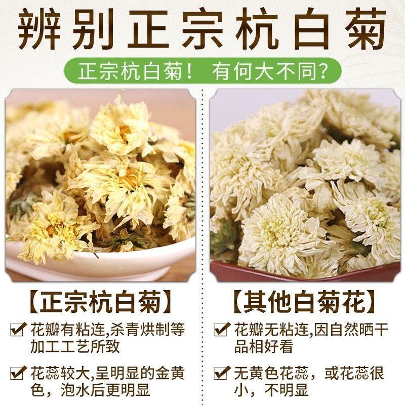 【桐乡发货】桐乡杭白菊娃娃菊无硫干菊花茶多规格可选包邮