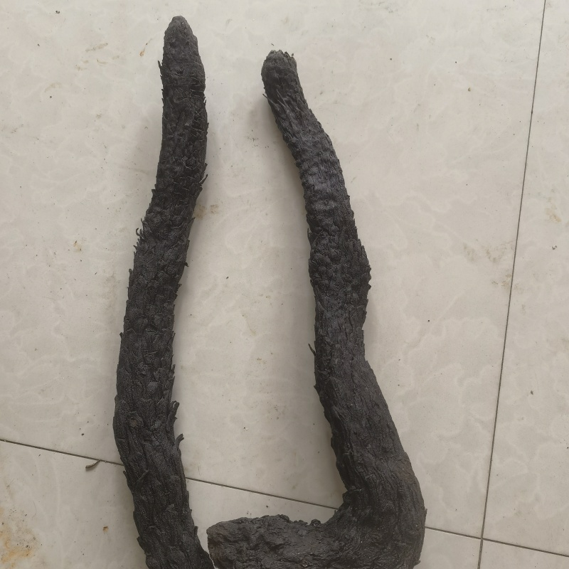 肉苁蓉甜大云新货选片软质关书药业