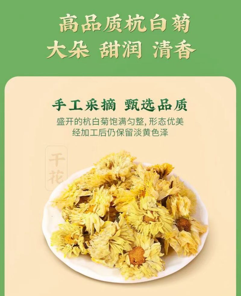【桐乡发货】头茬桐乡杭白菊胎菊无硫娃娃菊干菊花茶包邮