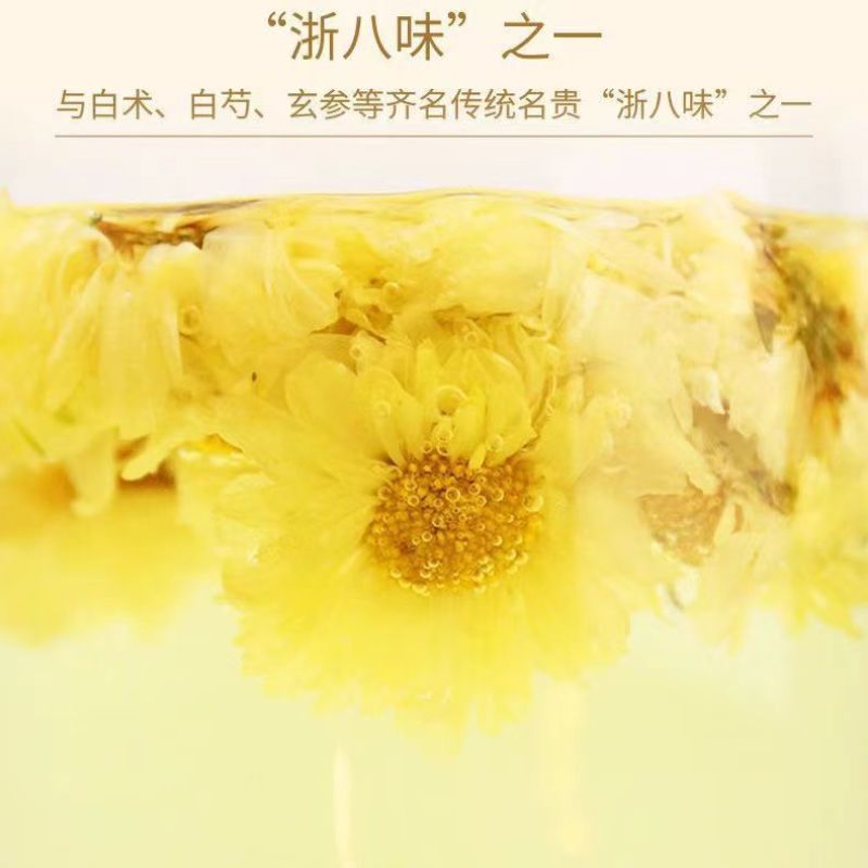 【桐乡发货】头茬桐乡杭白菊胎菊无硫娃娃菊干菊花茶包邮