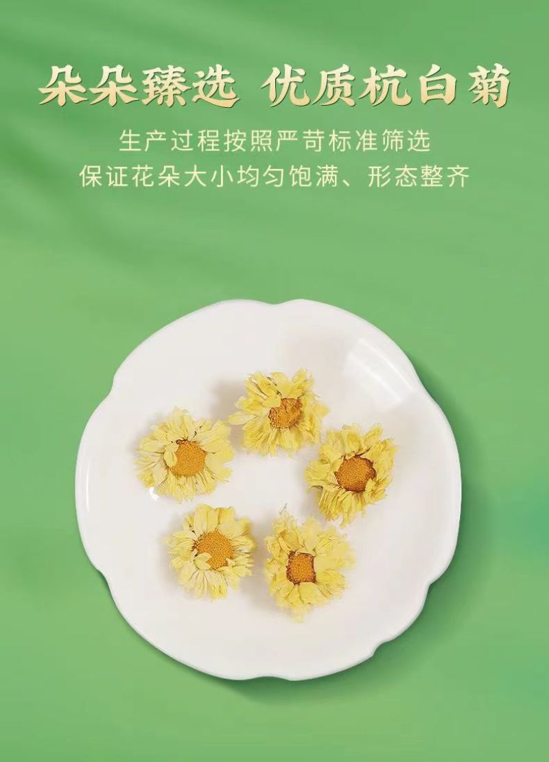 【桐乡发货】头茬桐乡杭白菊胎菊无硫娃娃菊干菊花茶包邮