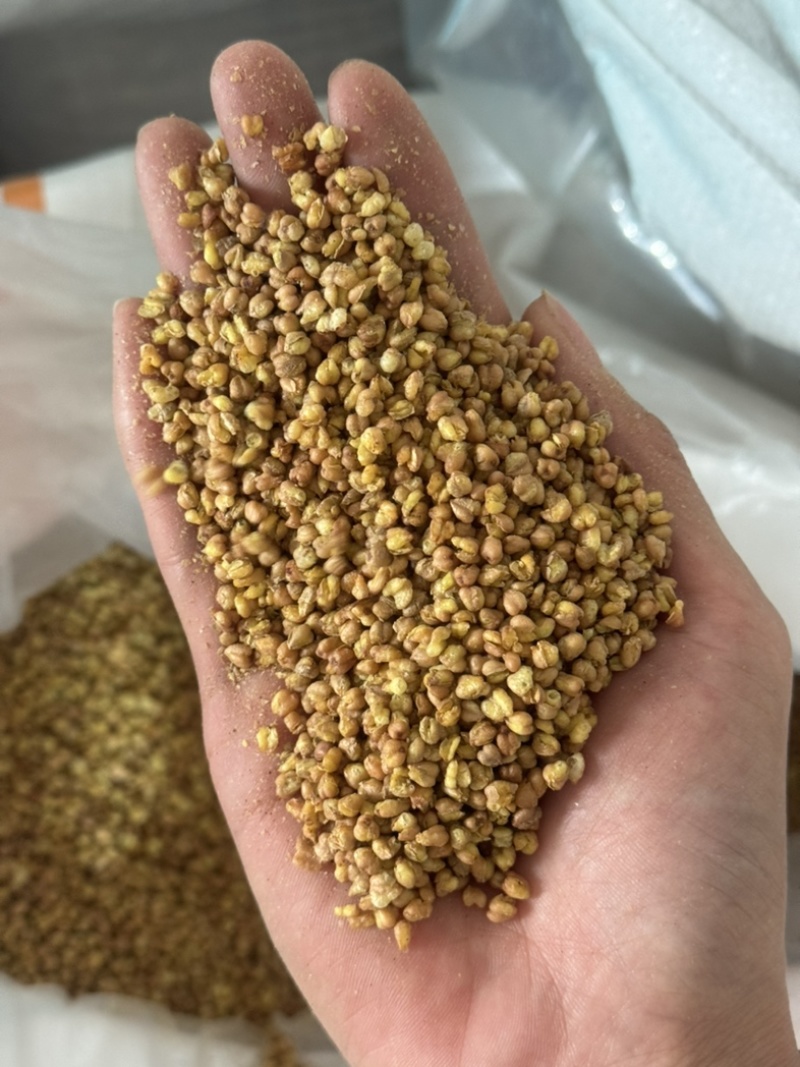 苦荞苦荞茶保庆药业黄苦荞实拍发货图