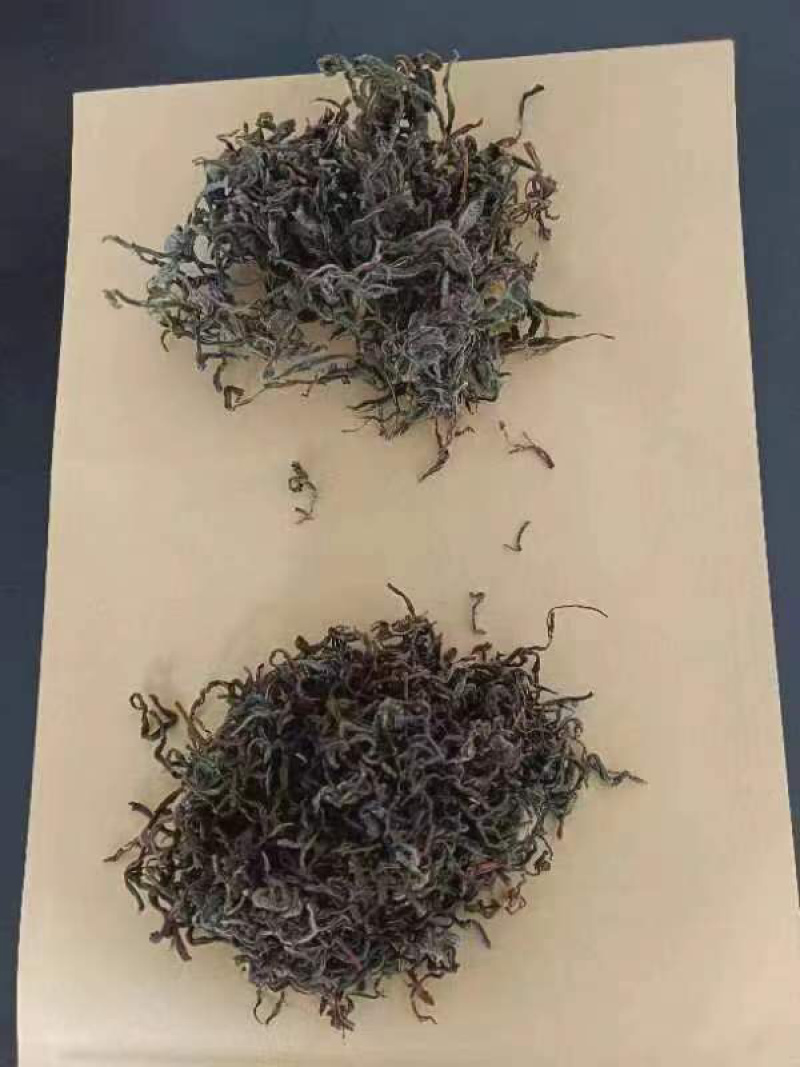 重庆巫溪蒲莲老鹰茶，百年古树，量大质优，价格优惠