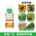 硼肥流体硼微量元素叶面肥保花保果提高坐果率防畸形蔬菜果树
