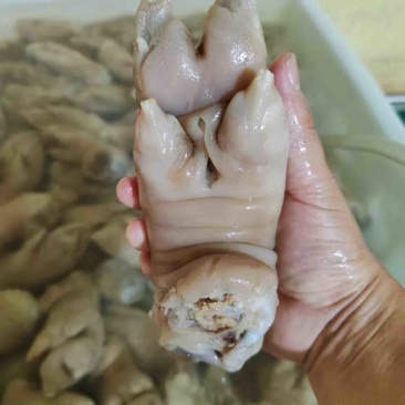猪蹄一手货源口感好，量大批发，需要的直接联系