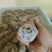 猪蹄一手货源口感好，量大批发，需要的直接联系