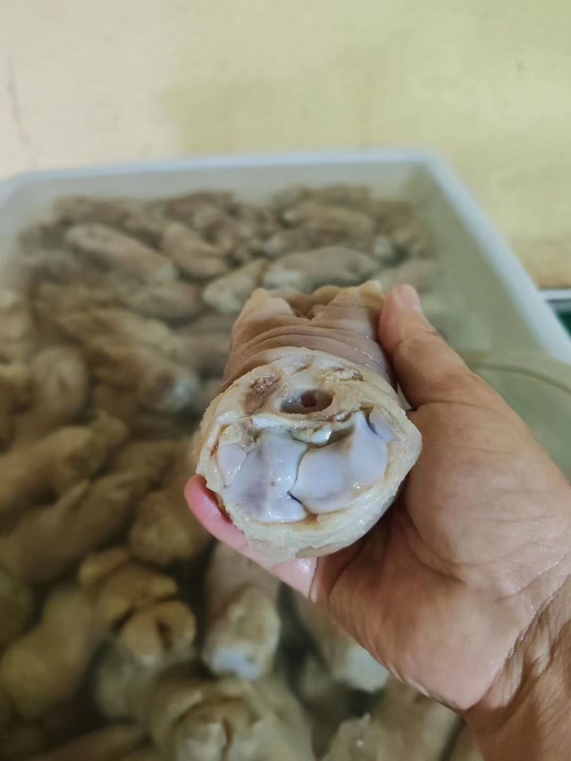 猪蹄一手货源口感好，量大批发，需要的直接联系