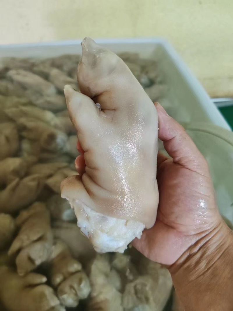 猪蹄一手货源口感好，量大批发，需要的直接联系