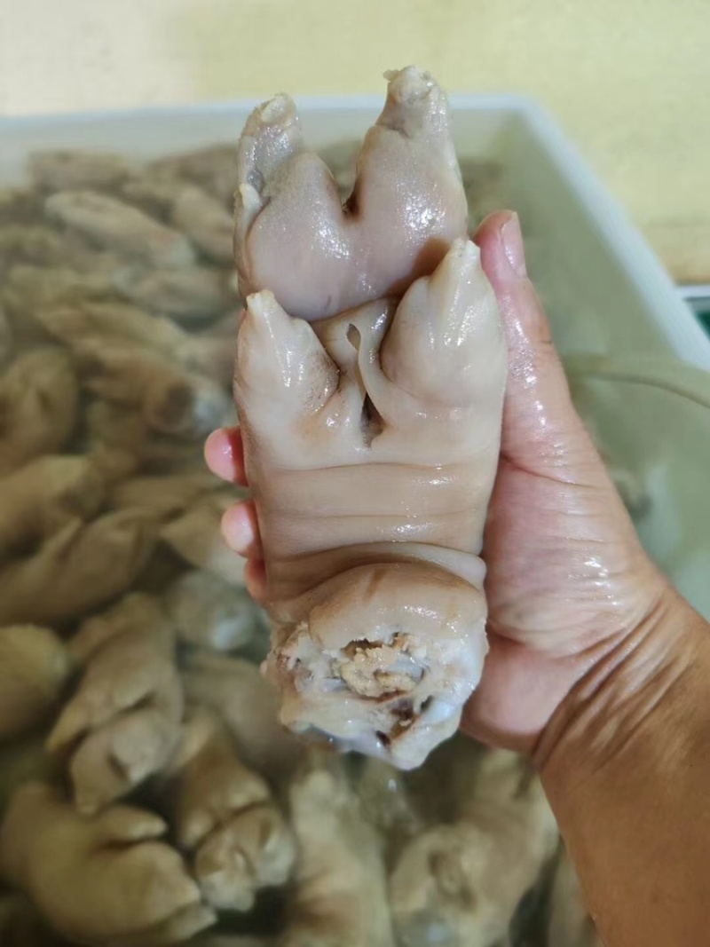 猪蹄一手货源口感好，量大批发，需要的直接联系
