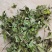 薄荷、中药材干货大量上市价格优惠支持视频看货欢迎来电