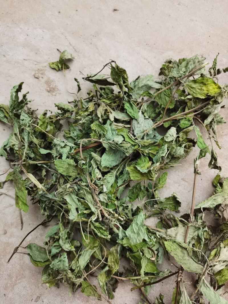 薄荷、中药材干货大量上市价格优惠支持视频看货欢迎来电