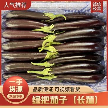 山东潍坊寿光茄子-绿把长茄，量大质优，价格优惠，欢迎咨询采购