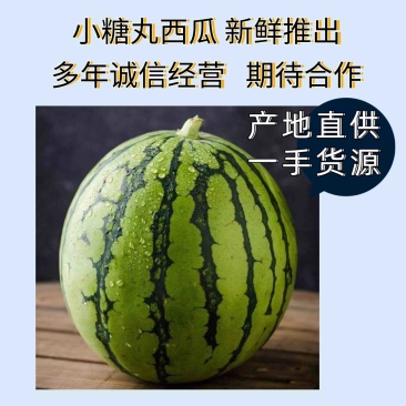 精品山东西瓜全美2k西瓜品质好口感棒货源充足！