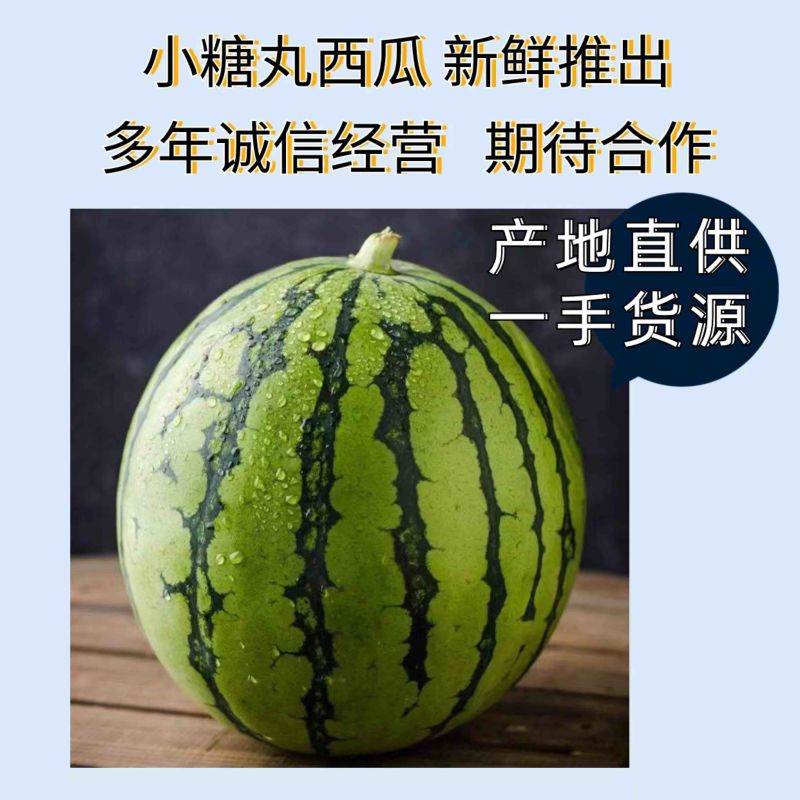 精品山东西瓜全美2k西瓜品质好口感棒货源充足！