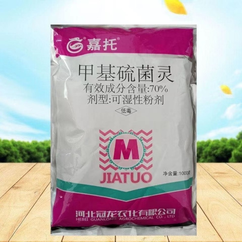 甲基硫菌灵70%甲基硫菌灵可湿性粉剂叶霉病