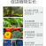 海藻鱼蛋白水溶肥，生根壮秧，保花保果厂家直发价格便宜