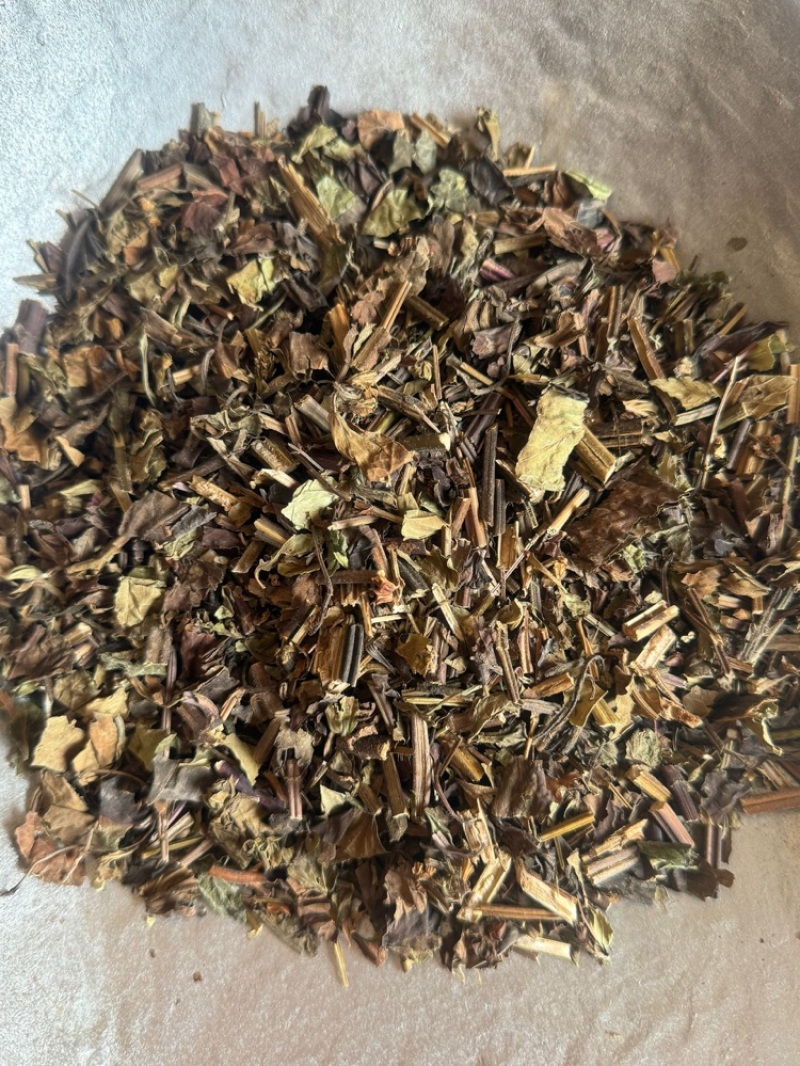 石见穿实拍过筛货保庆药业批发石见川