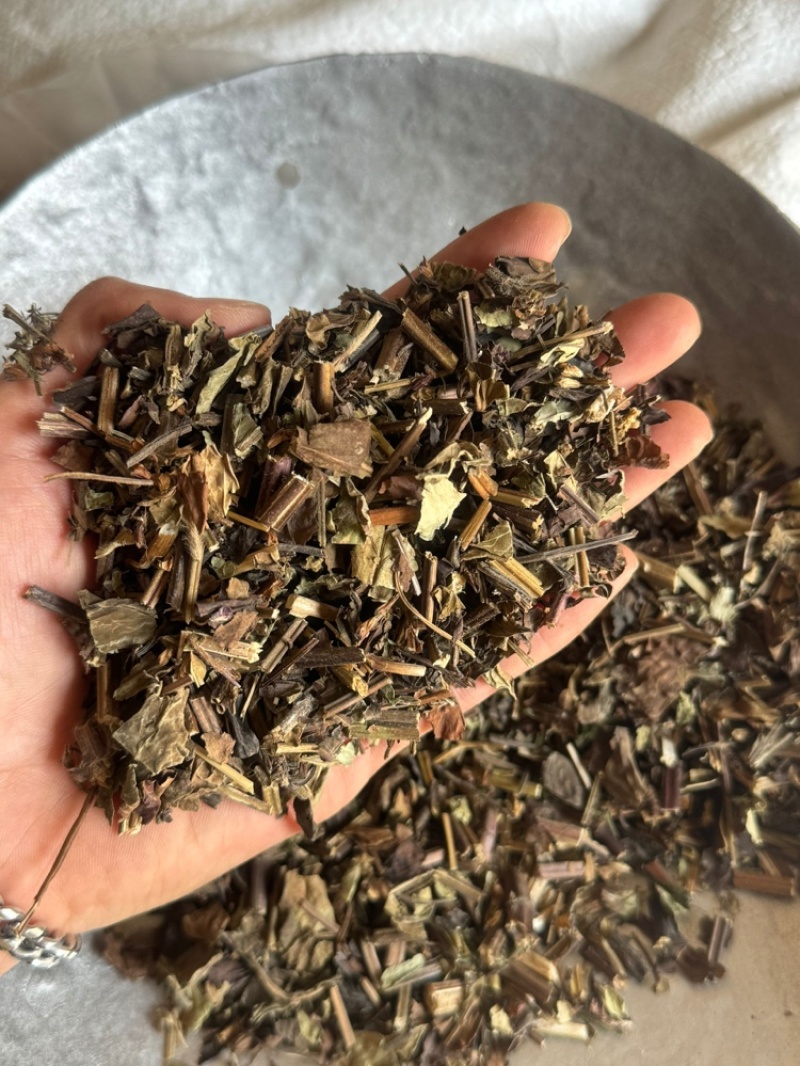 石见穿实拍过筛货保庆药业批发石见川