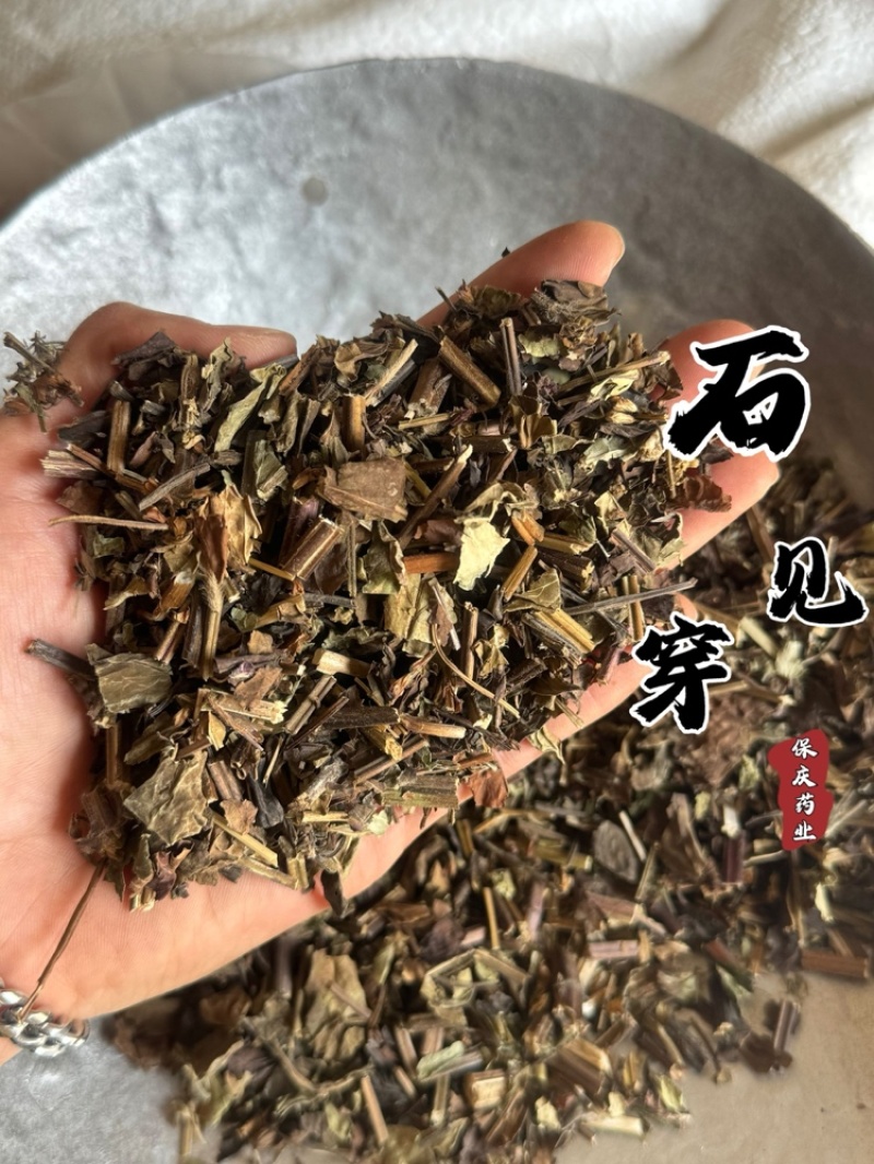 石见穿实拍过筛货保庆药业批发石见川