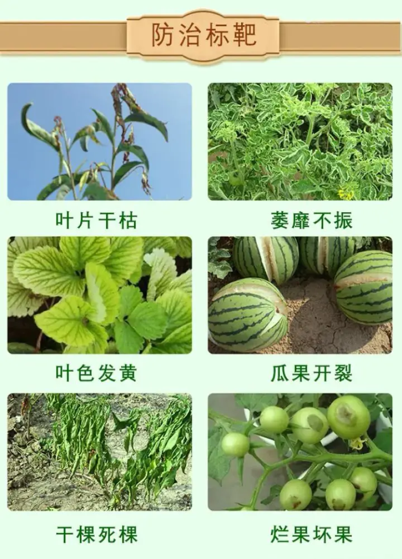 海藻氨基酸水溶肥保花保果快速膨果色泽靓丽不裂果3