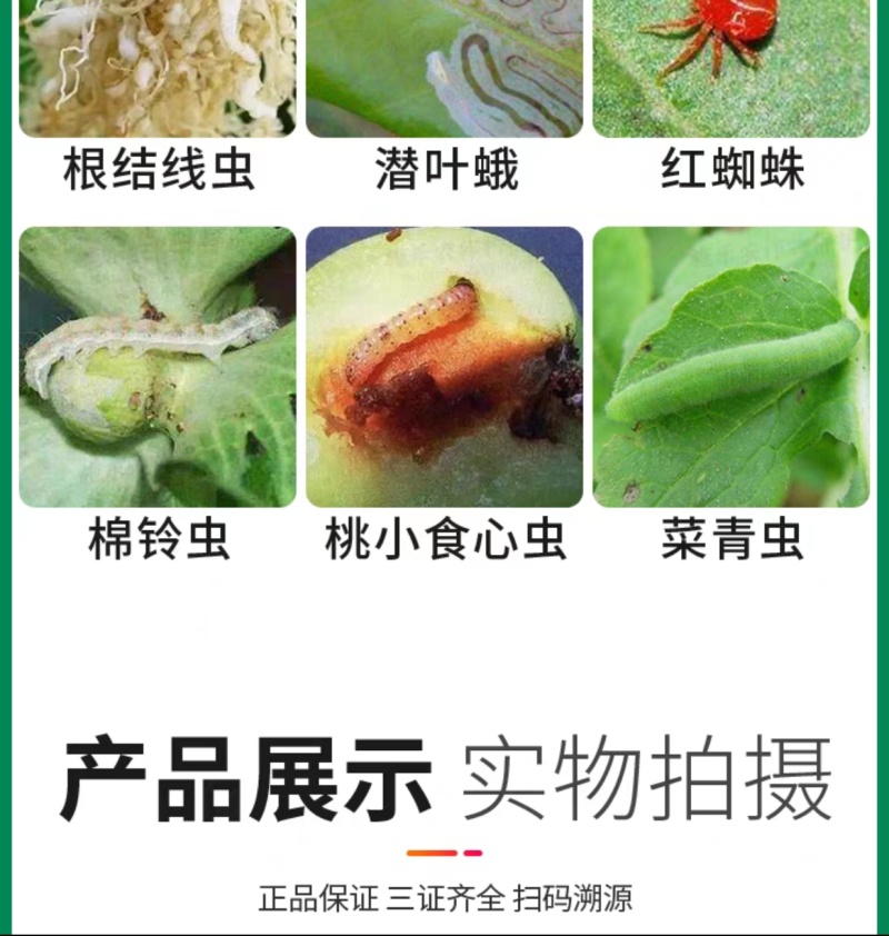 5%阿维菌素红蜘蛛食心虫厂家直发根结线虫菜青虫农药杀虫剂