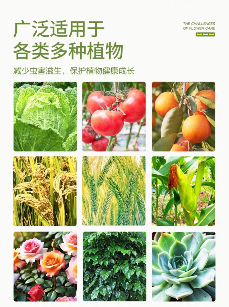 5%阿维菌素红蜘蛛食心虫厂家直发根结线虫菜青虫农药杀虫剂