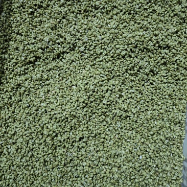 青麦碾转河南特产