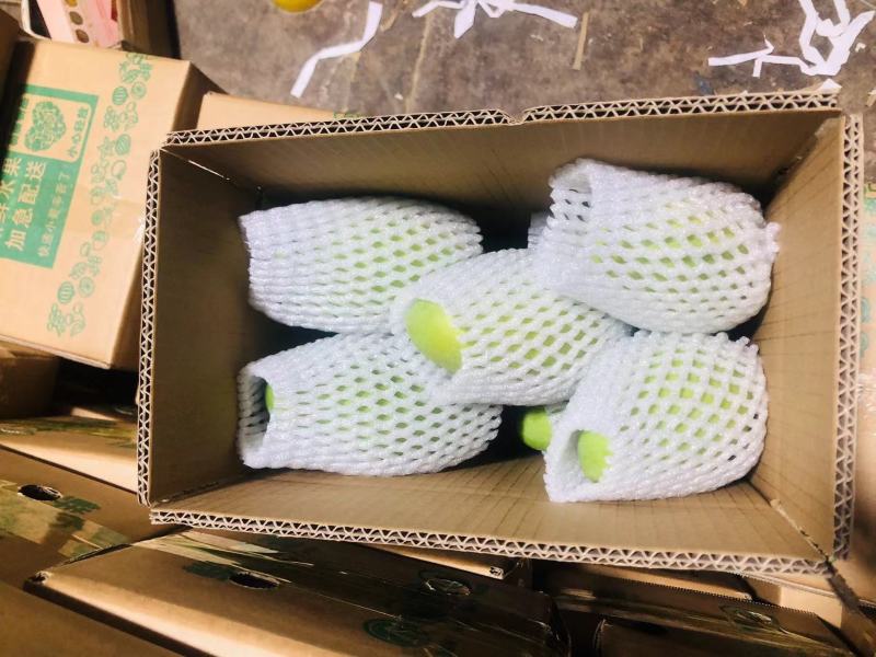 百色精品大青芒，一手货源，品质保证，一件代发，量大从优