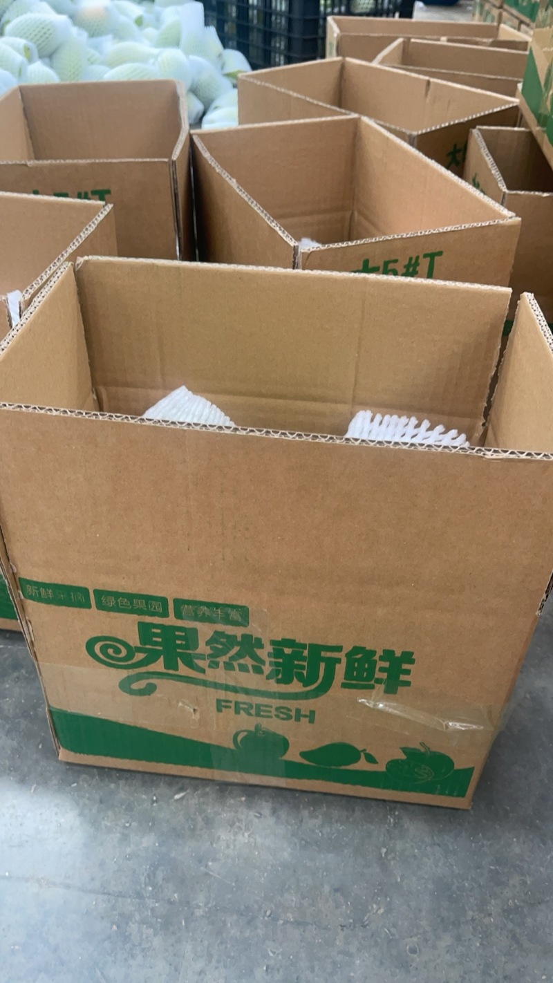百色精品大青芒，一手货源，品质保证，一件代发，量大从优