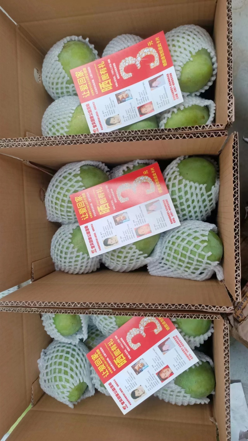 精品水仙芒果，品种齐全，货源充足，诚信经营，欢迎采购