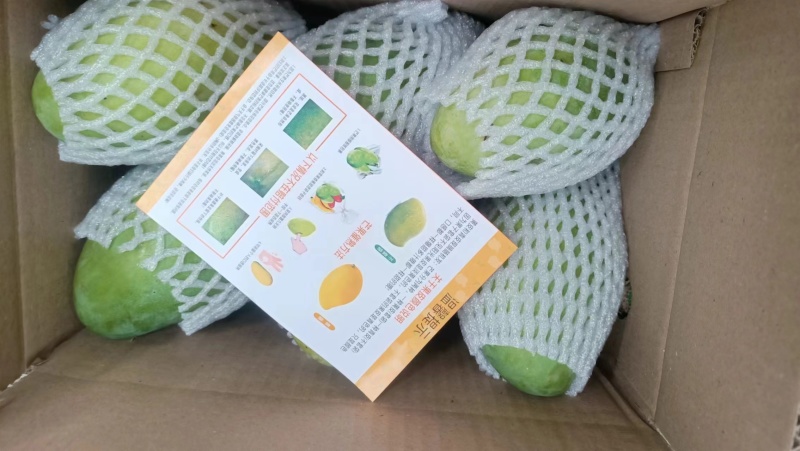 精品水仙芒果，品种齐全，货源充足，诚信经营，欢迎采购