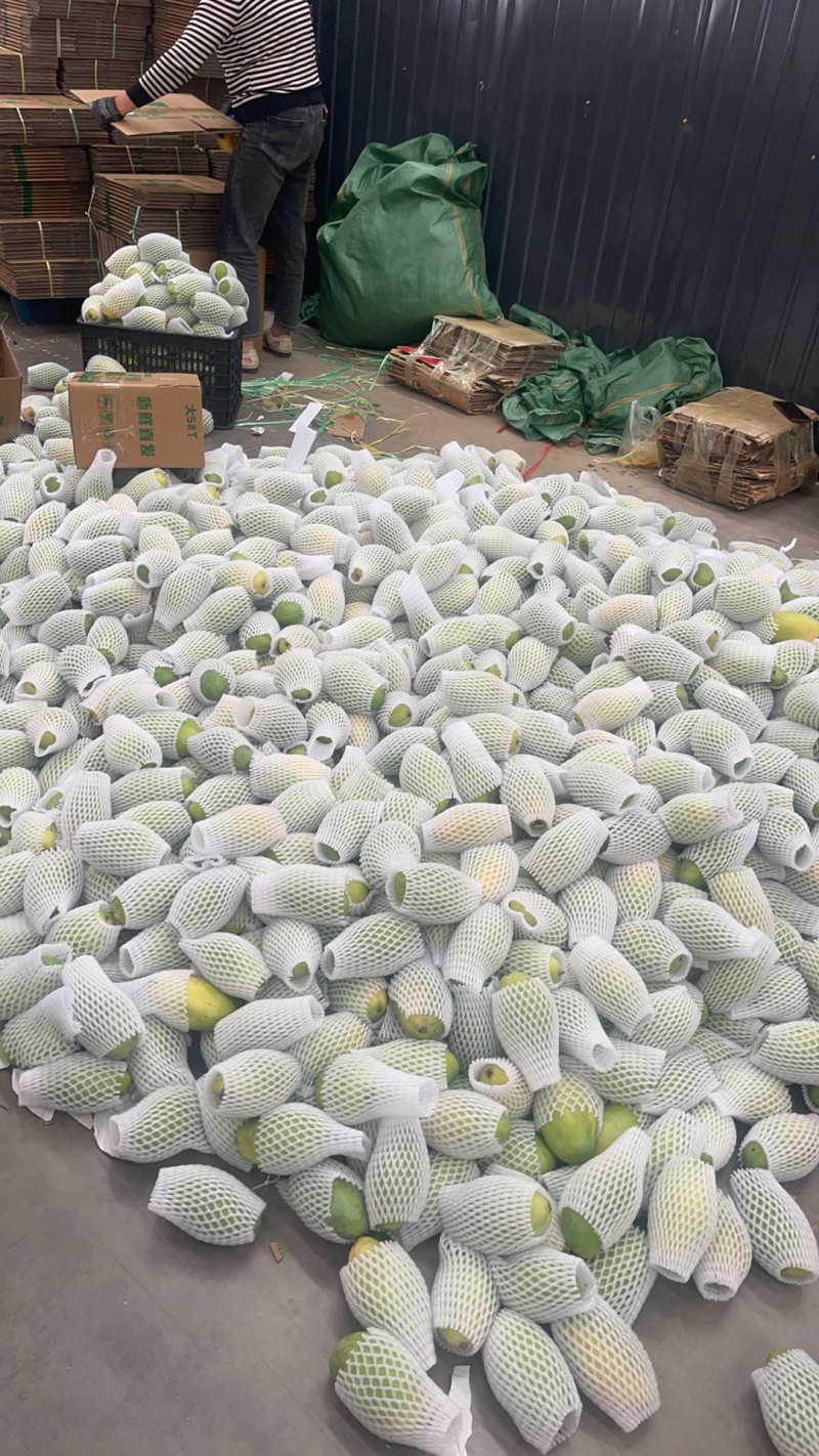 精品水仙芒果，品种齐全，货源充足，诚信经营，欢迎采购