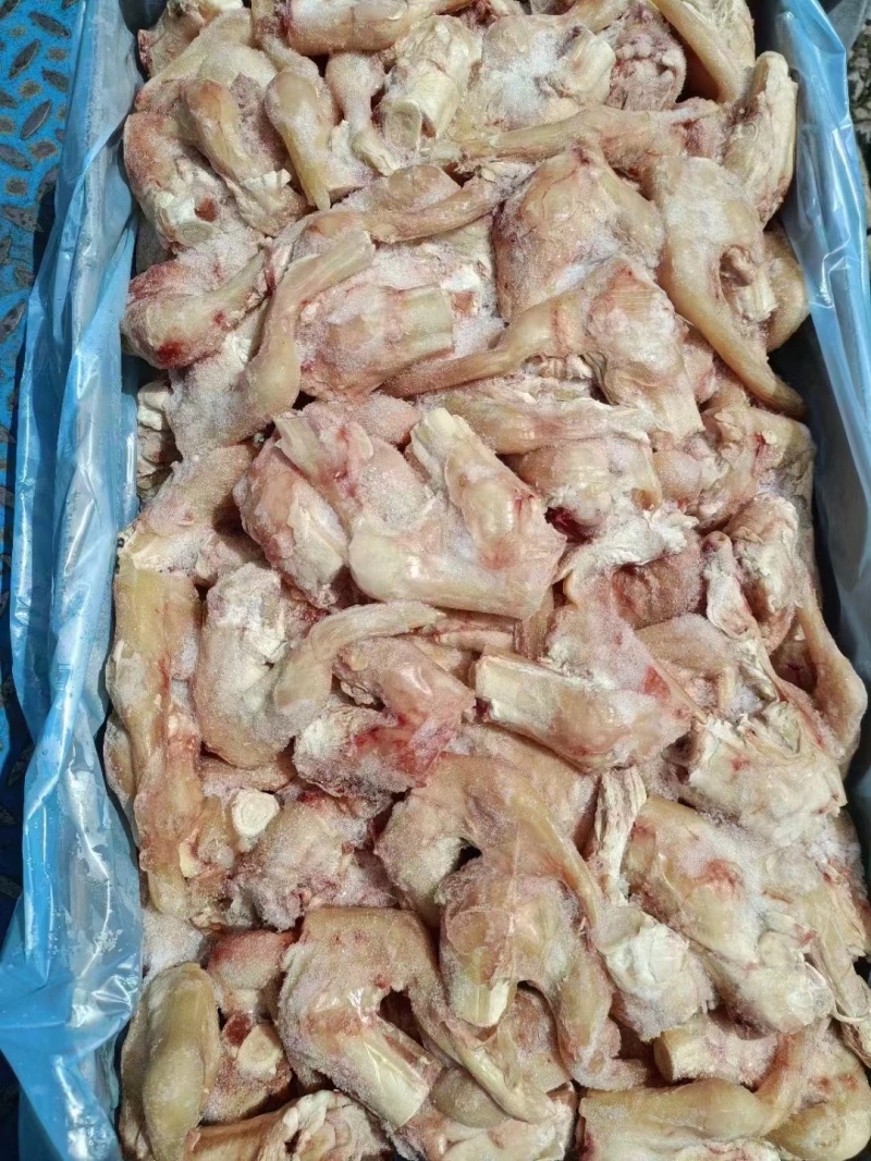 羊拐筋