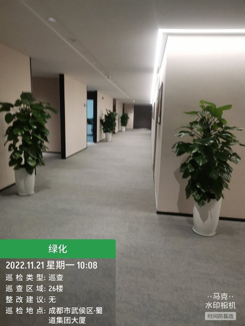 绿植租赁，绿植批发