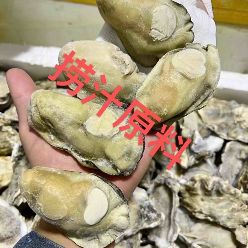 熟冻生蚝肉，适合各种酒店，捞汁店等，全国代发货